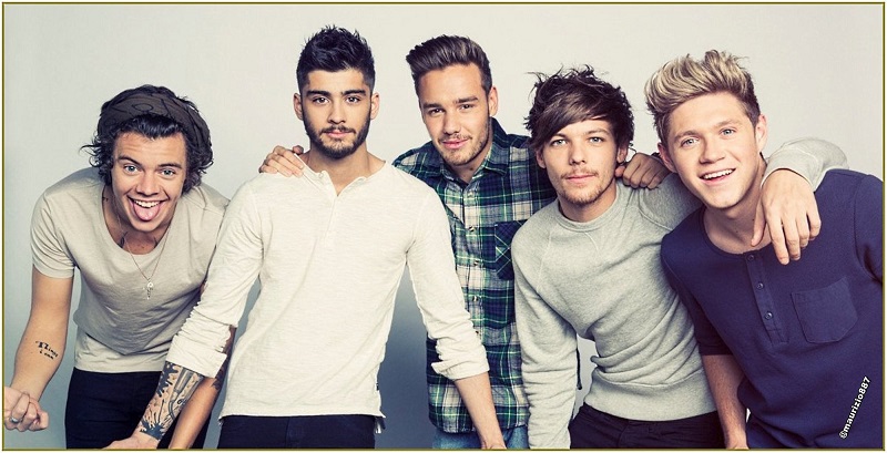 One Direction Singer Zayn Malik has dropped out of the band’s On the Road Again tour in Asia
