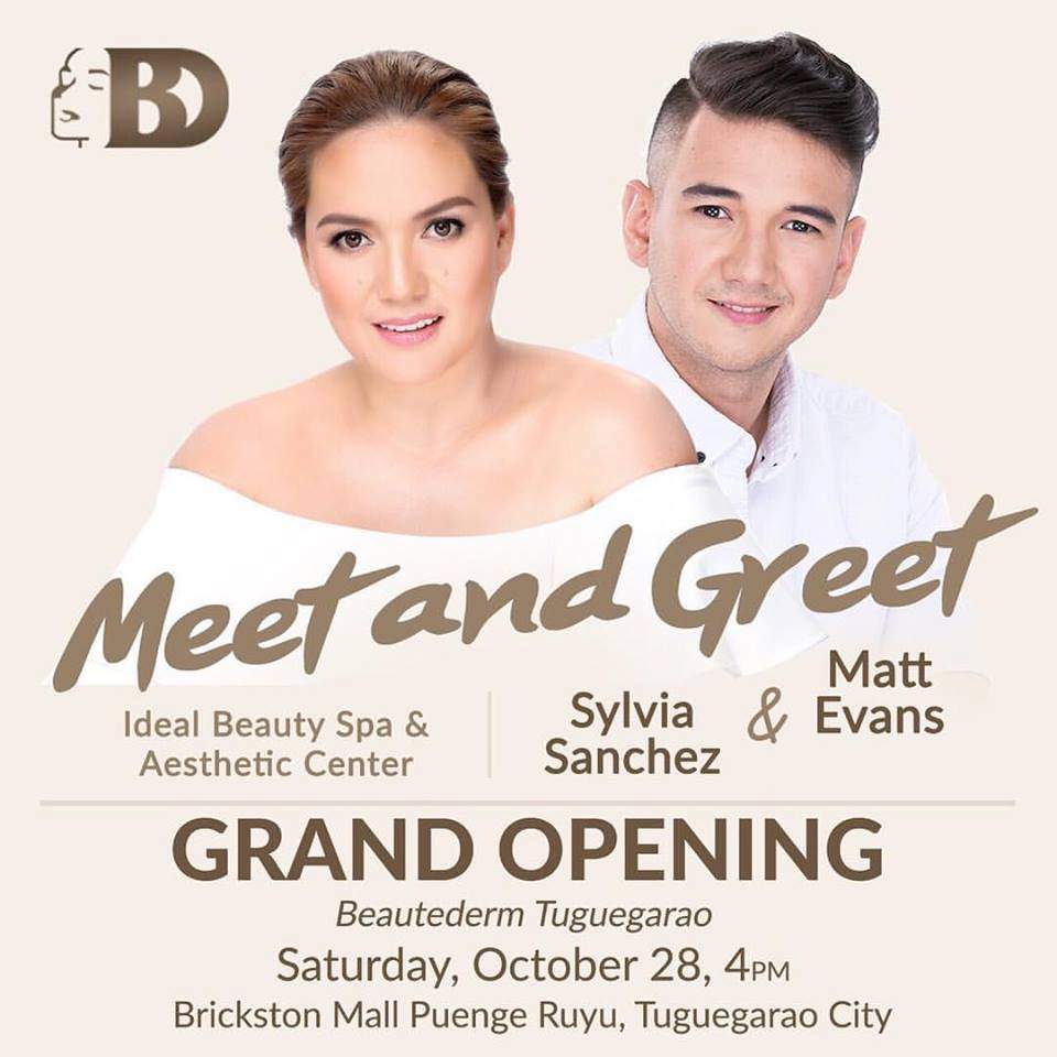 Sylvia Sanchez grateful to be working again with Matt Evans