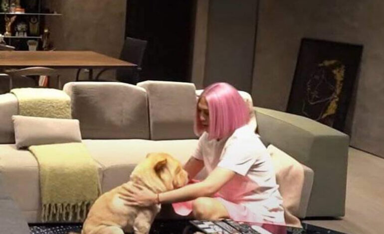 Vice Ganda mourns loss of fur baby Chip In